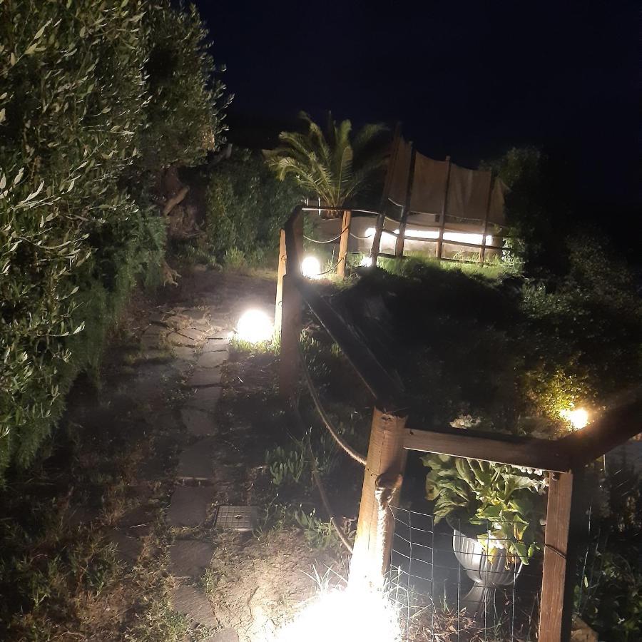 Holiday Home Tavullia Ngoại thất bức ảnh